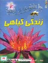قیمت و خرید کتاب 100 حقیقت درباره ی زندگی گیاهی سایه گستر | ایده بوک