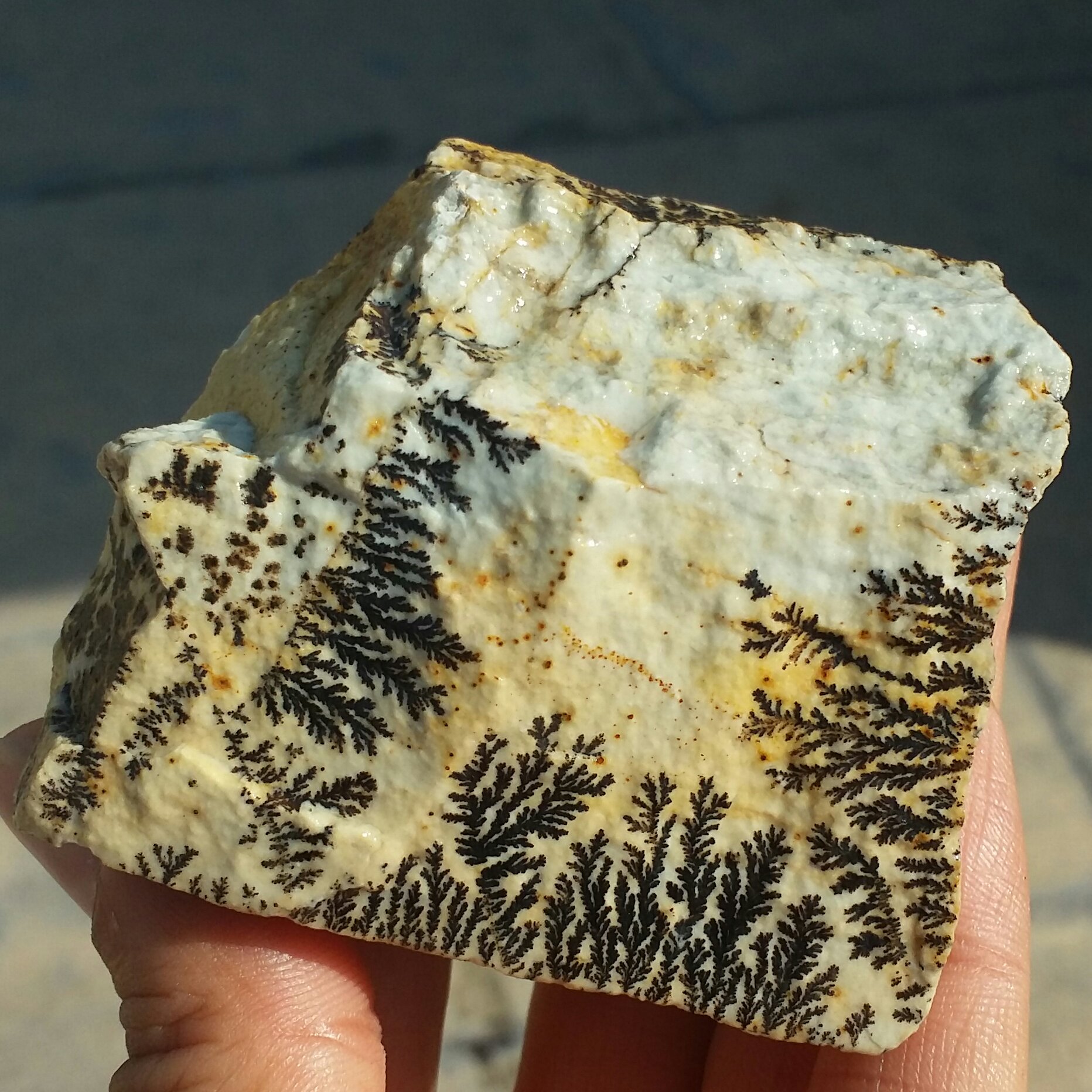 سنگ راف درشت 100 در 100 طبیعی شجر دندریتی یا فسیلی محشر خاص شاهکار خلقت
شجر واضح
تصویر از سه طرف نمونه بی نظیر
کد 9453