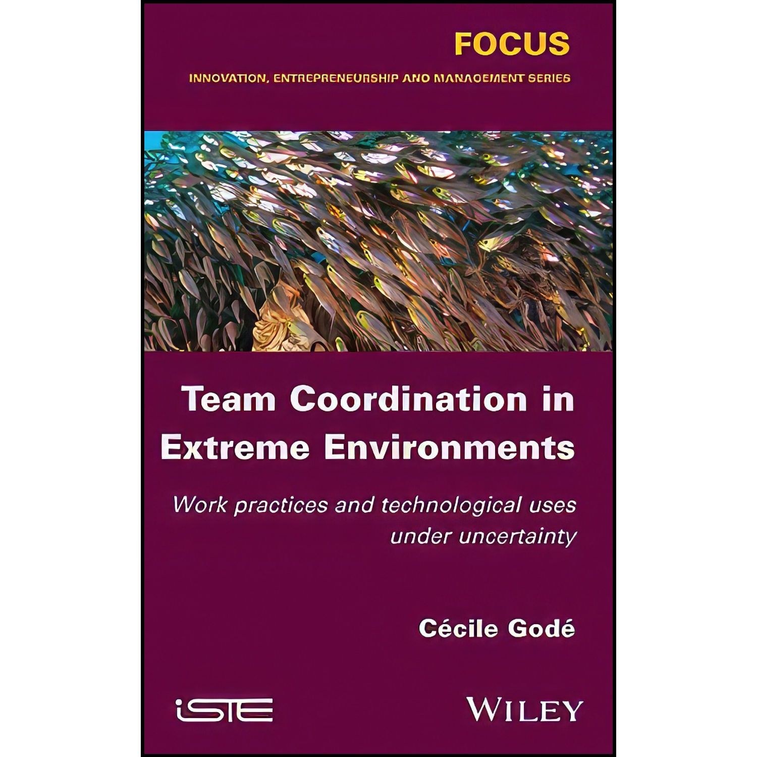 کتاب زبان اصلی Team Coordination in Extreme Environments اثر Cecile Gode