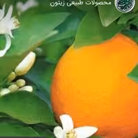 رب بهار نارنج محصولات طبیعی زیتون 450 گرمی