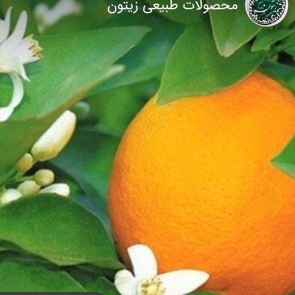 رب بهار نارنج محصولات طبیعی زیتون 450 گرمی