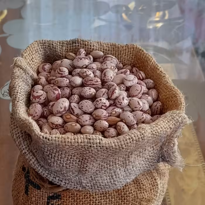 لوبیا چیتی دست چین شده و  امسالی 