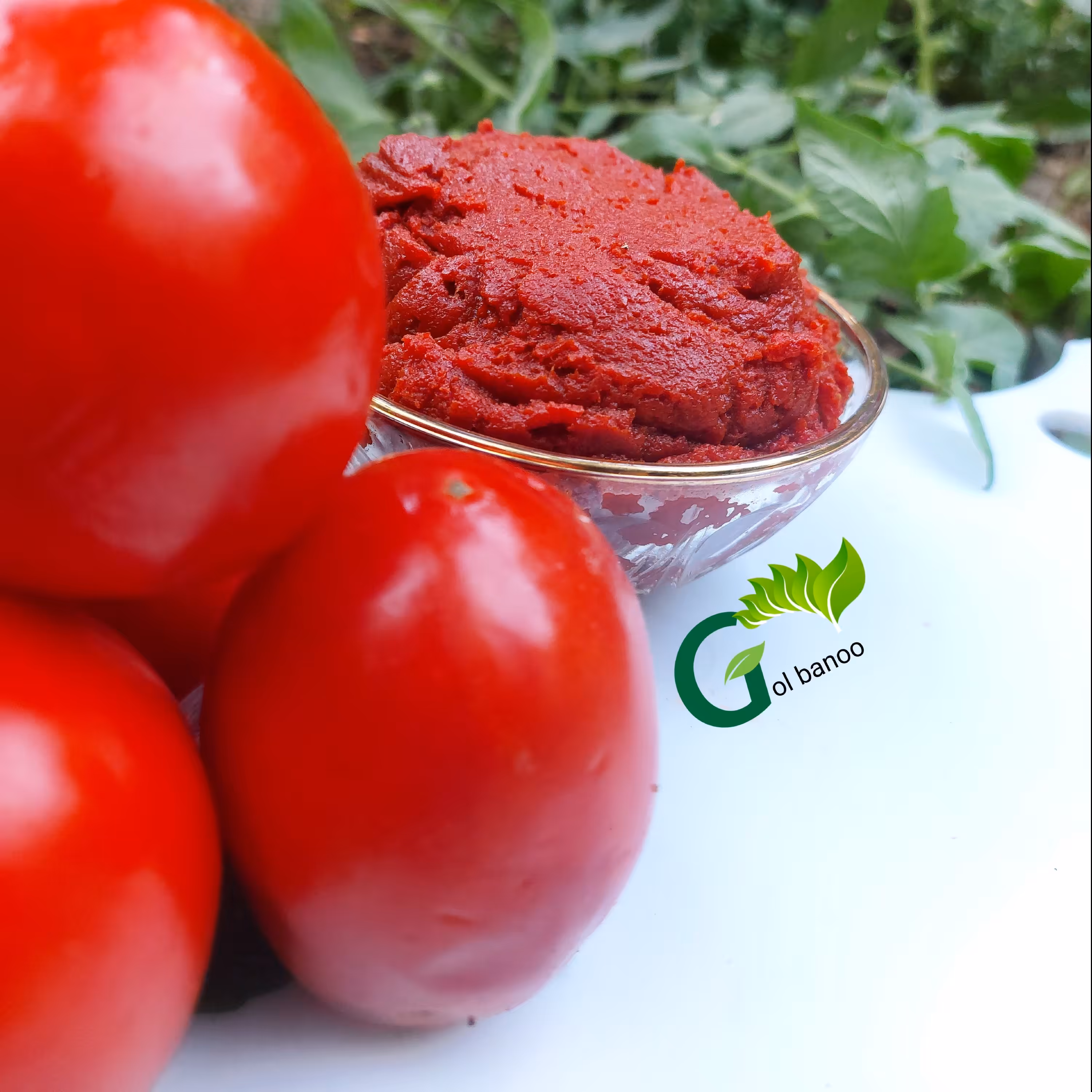 رب  گوجه  خانگی گل بانو 