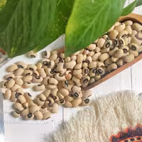 لوبیا چشم بلبلی بوجار و دستچین نیم کیلویی  