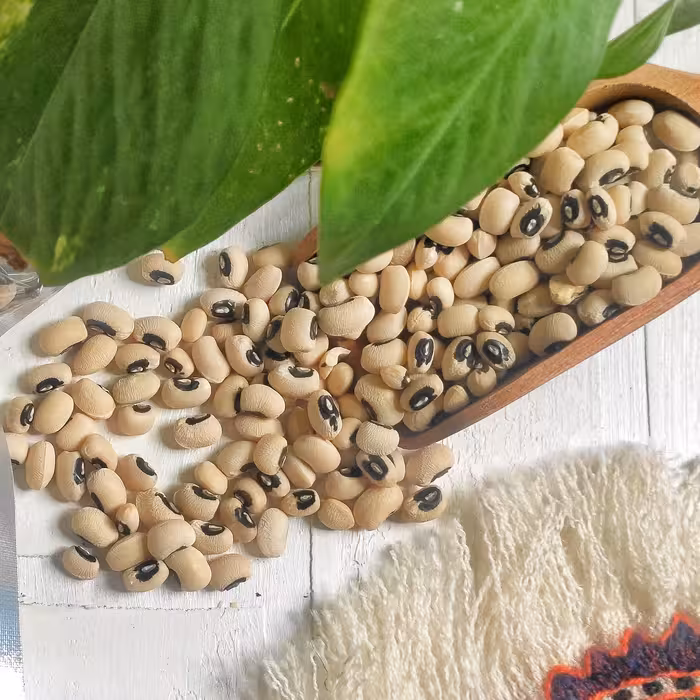 لوبیا چشم بلبلی بوجار و دستچین نیم کیلویی  