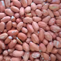 بادام زمینی آستانه اعلا ( 500 گرم )