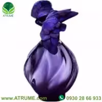 عطر ادکلن نینا ریچی له ایر دو تمپز نویت پورپر 100 میل زنانه