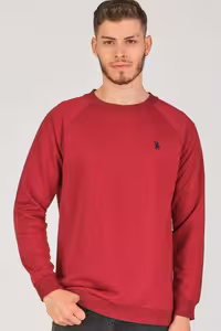 سویشرت قرمز مردانه آستین Raglan V4003 به رنگ شرابی Dewberry