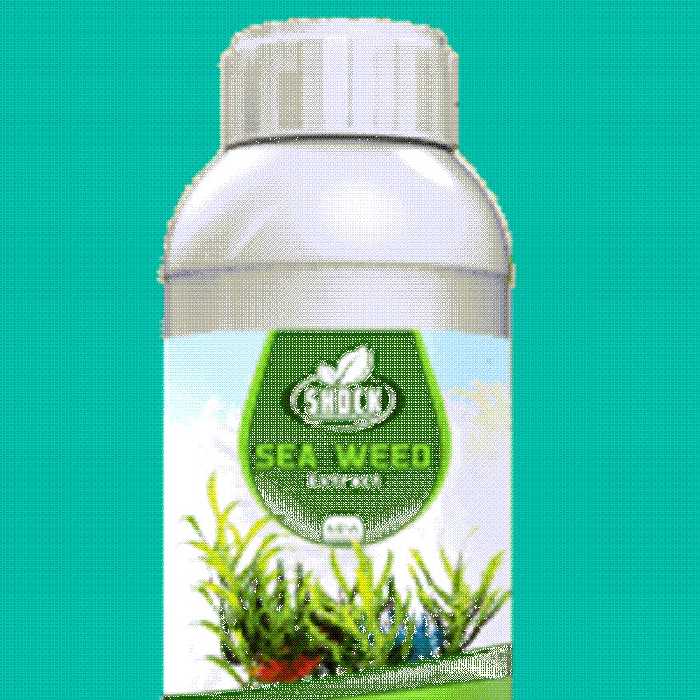 کود جلبک دریایی شوک آمریکایی