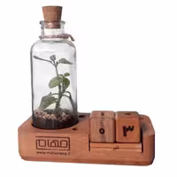 تقویم چوبی رومیزی مهام