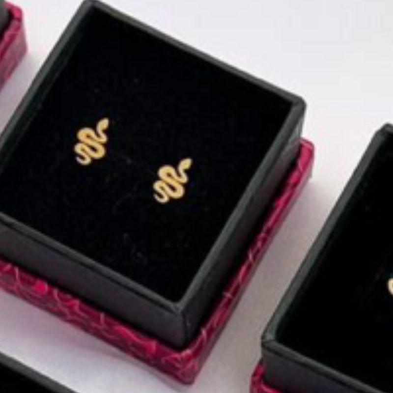 گوشواره طرح مار
