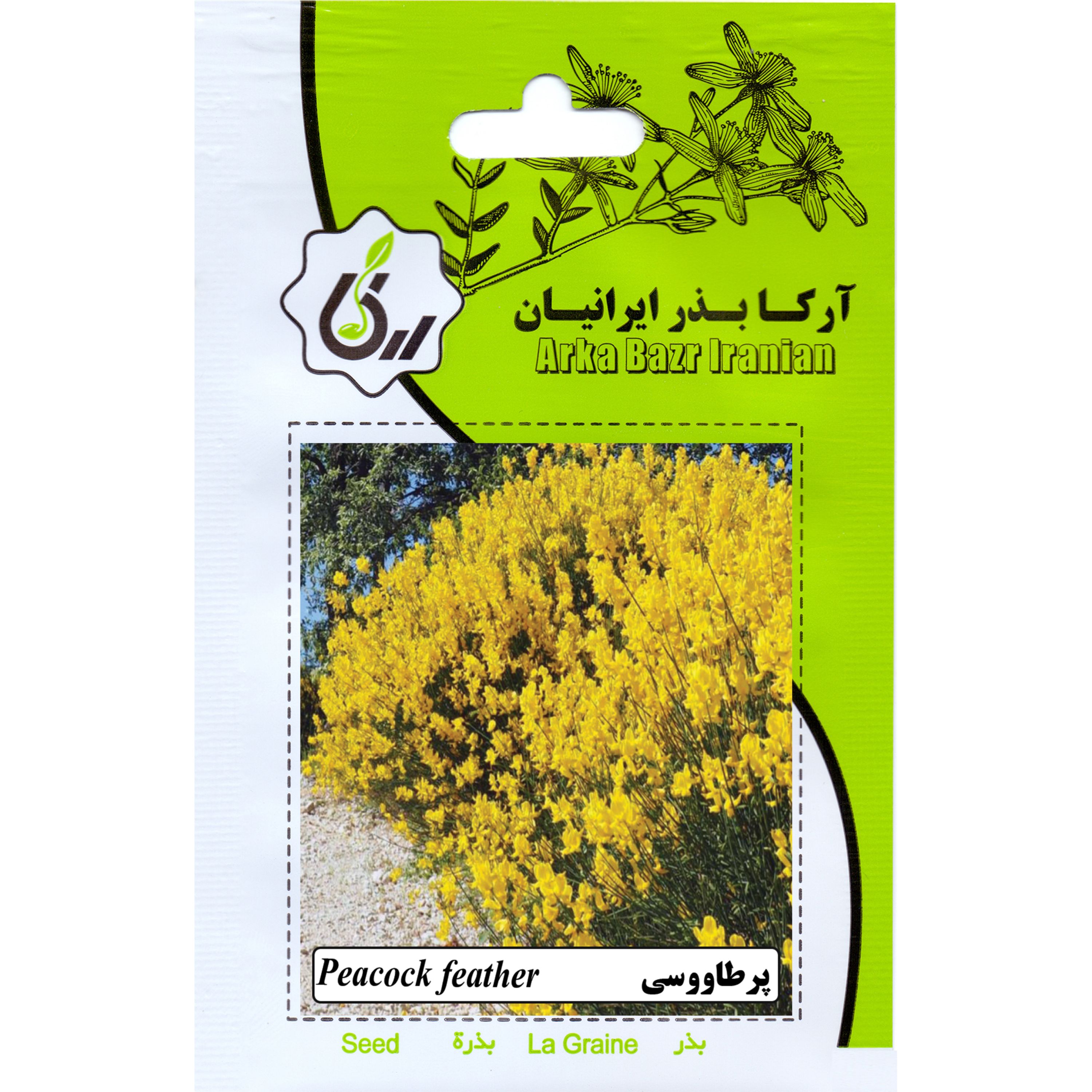 پرطاووسی ارکا بذر ایرانیان