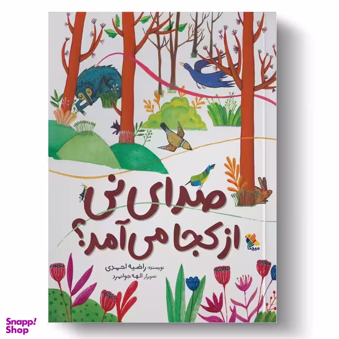 کتاب صدای نی از کجا می‌آید؟ اثر راضیه احمدی انتشارات میچکا