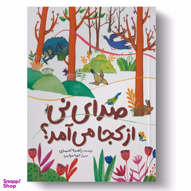 کتاب صدای نی از کجا می‌آید؟ اثر راضیه احمدی انتشارات میچکا