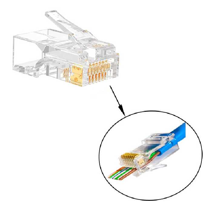 سوکت شبکه CAT6 OPEN END تی پی لینک