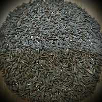 بالنگو 1 کیلویی