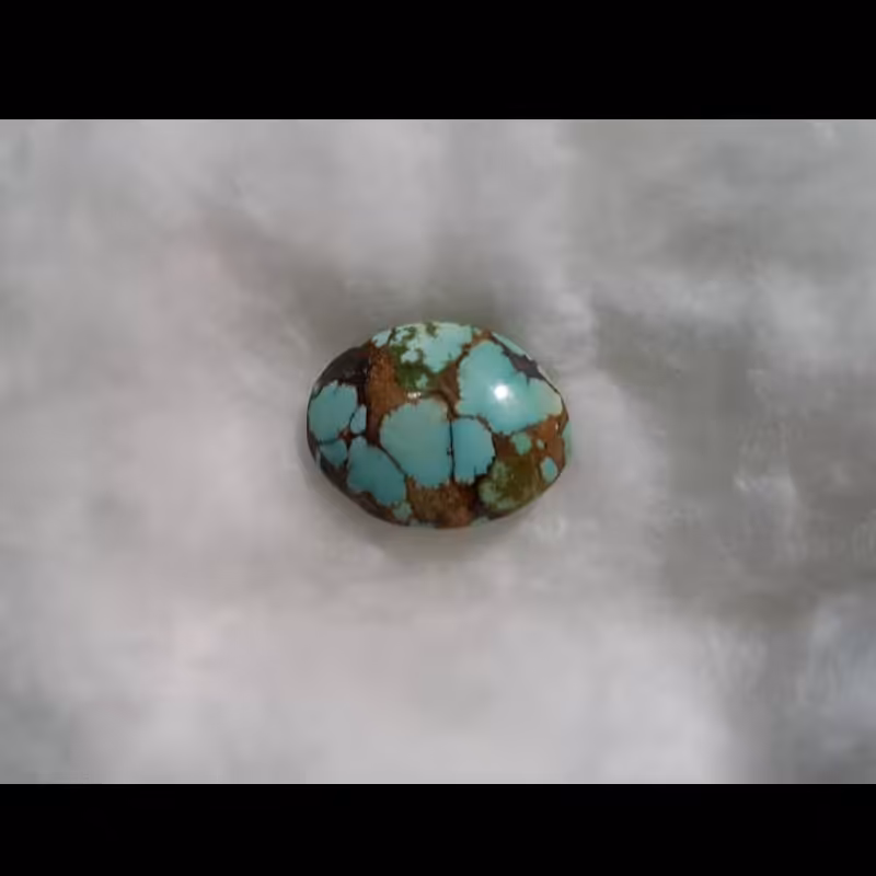 فیروزه ی شجری  طرح و رنگ خاص