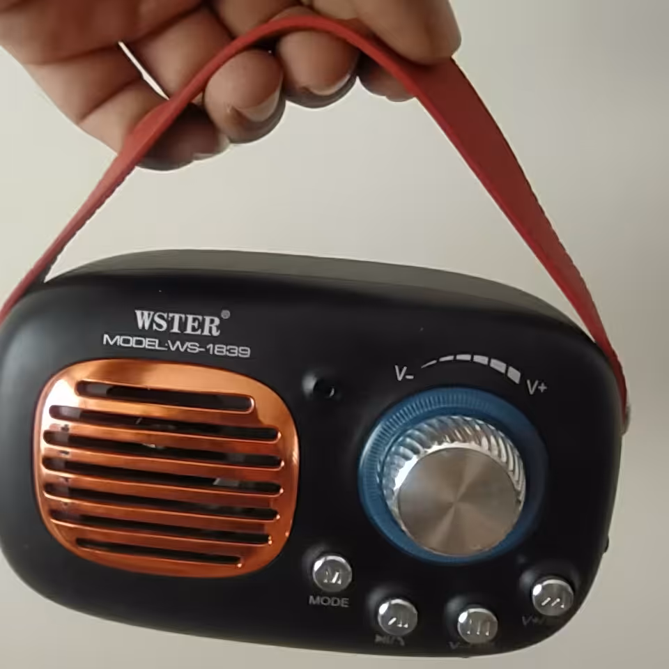 اسپیکر بلوتوث پرتابل WESTER 1839