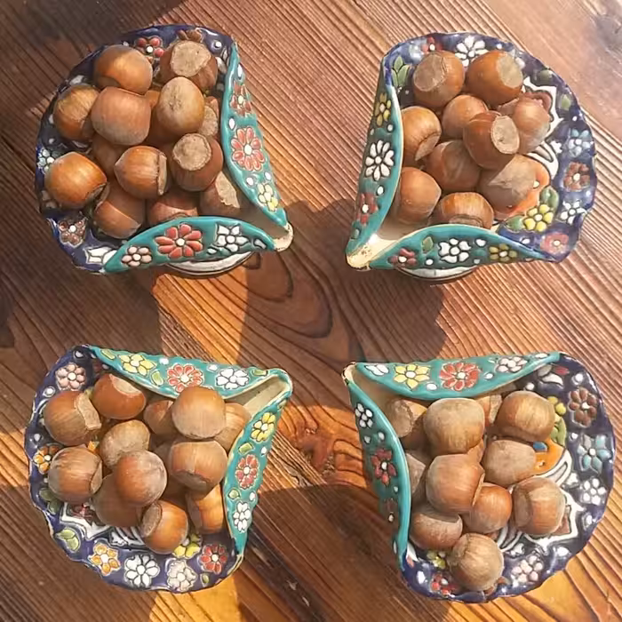 فندق خام درجه یک پرمغز و سالم محصول امسال با طعم و مزه بی نظیر