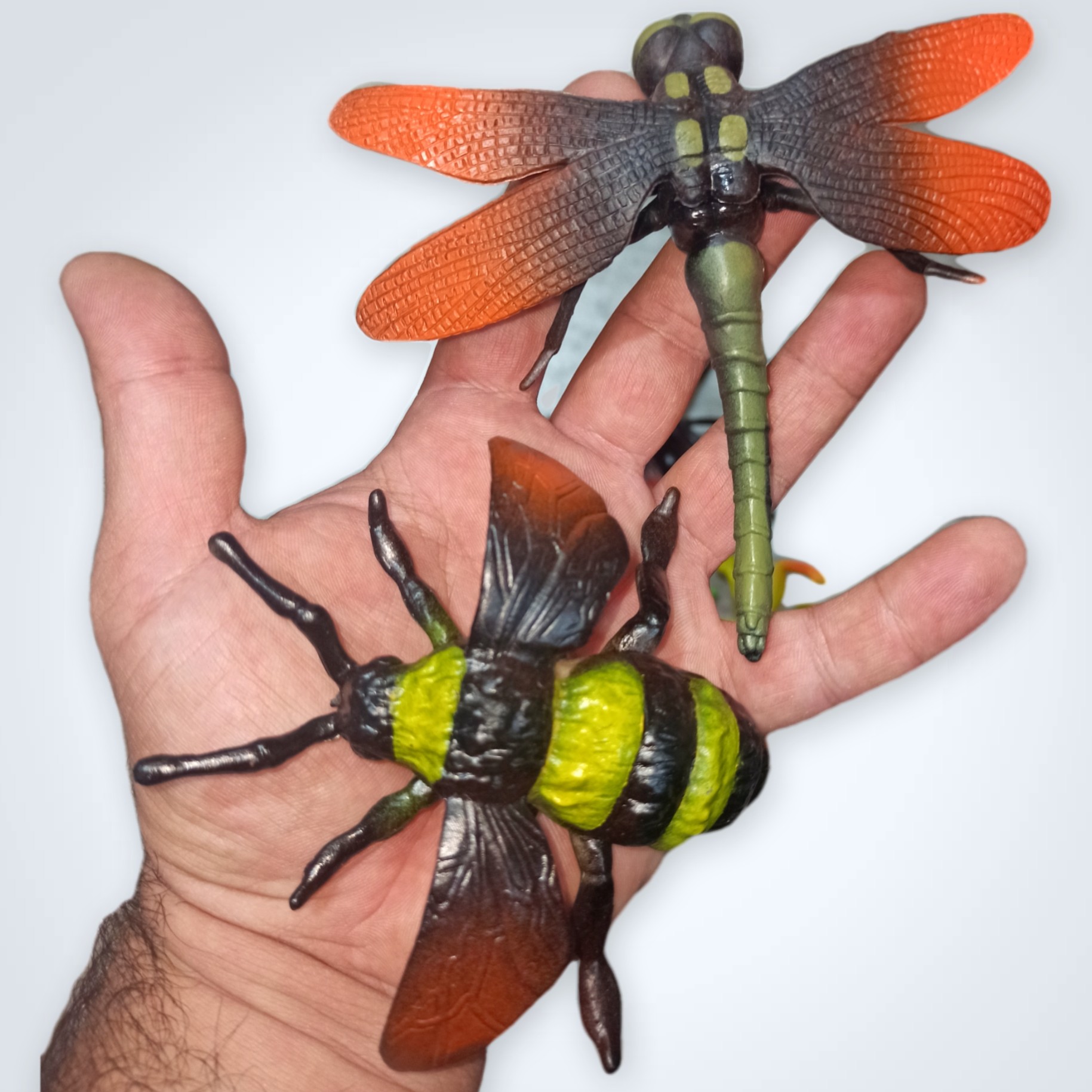 اسباب بازی حشرات گوشتی  اسباب بازی