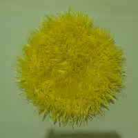 اسکاج نرم 20عدد دستبافت (عمده ) 