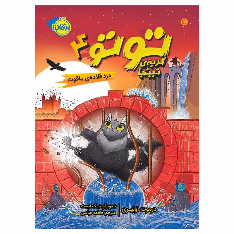 کتاب توتو،گربه‌ی نینجا 4 دزد قلاده‌ی یاقوت اثر درموت اولیری انتشارات پرتقال