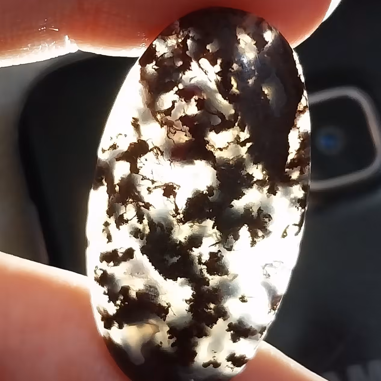 نگین شجر بینظیر درشت 