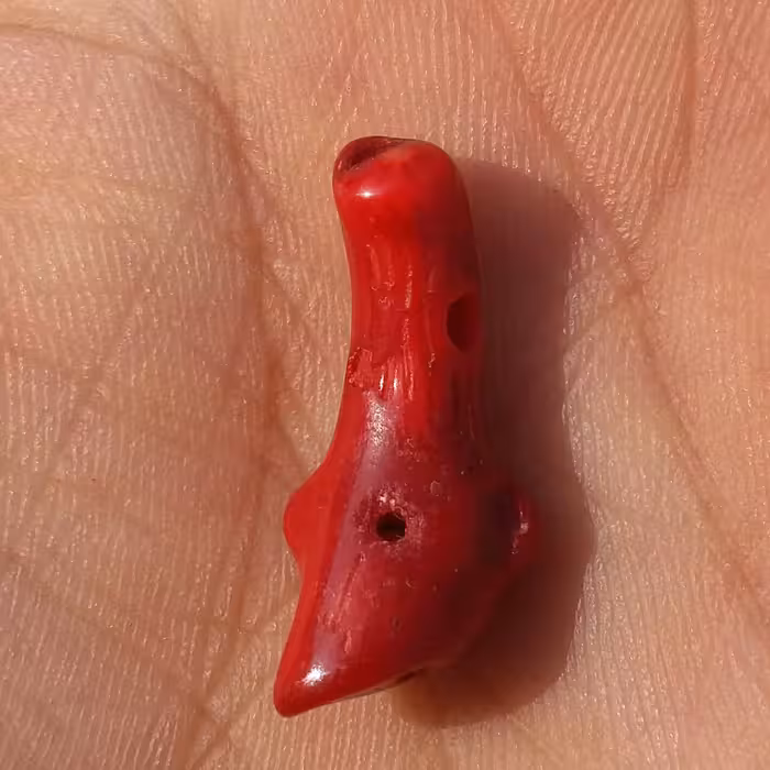 سنگ مرجان سرخ سوراخ دار مناسب آویز شاهکار خلقت بی نظیییر
کد 8756