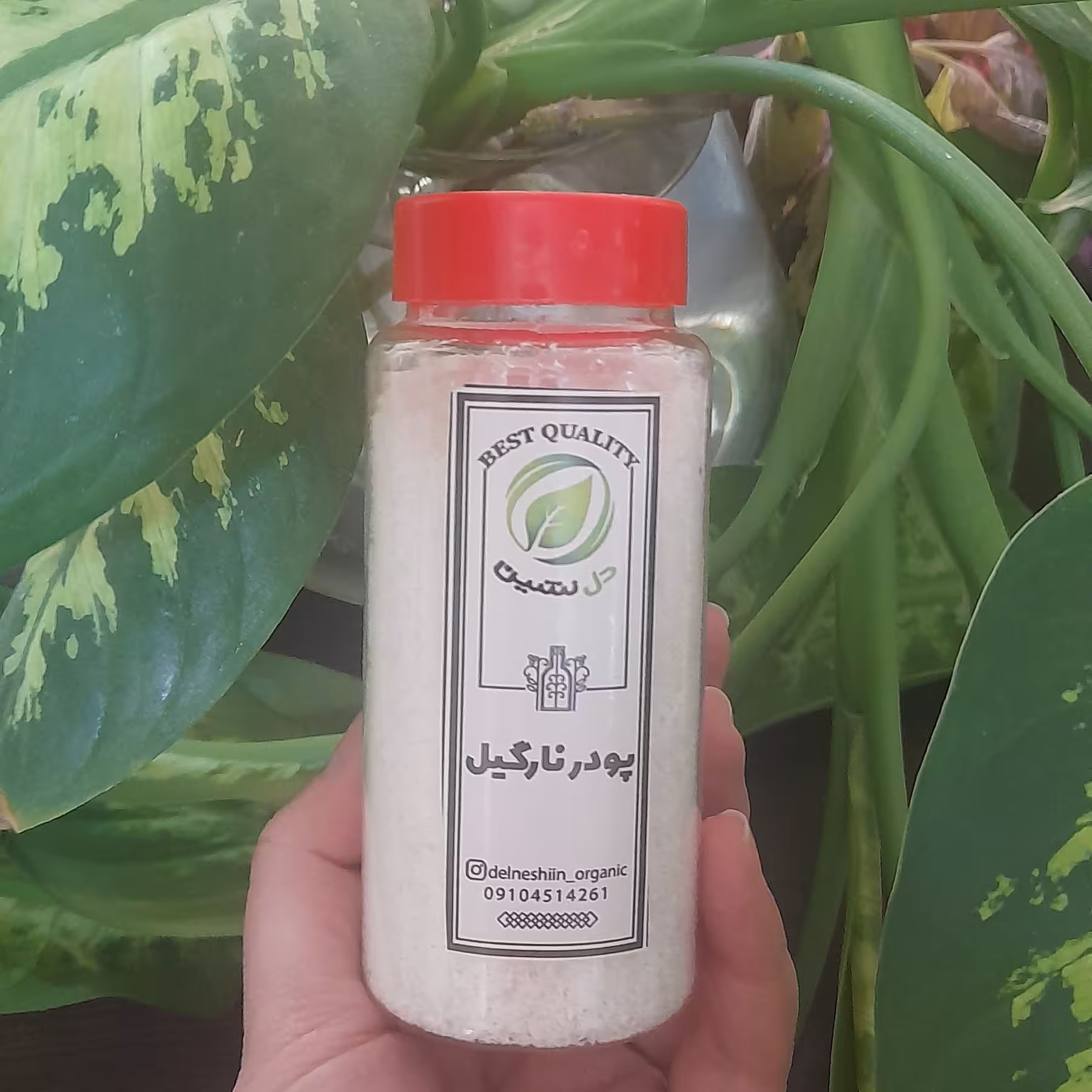 پودر نارگیل دلنشین با پت نمک پاشی 