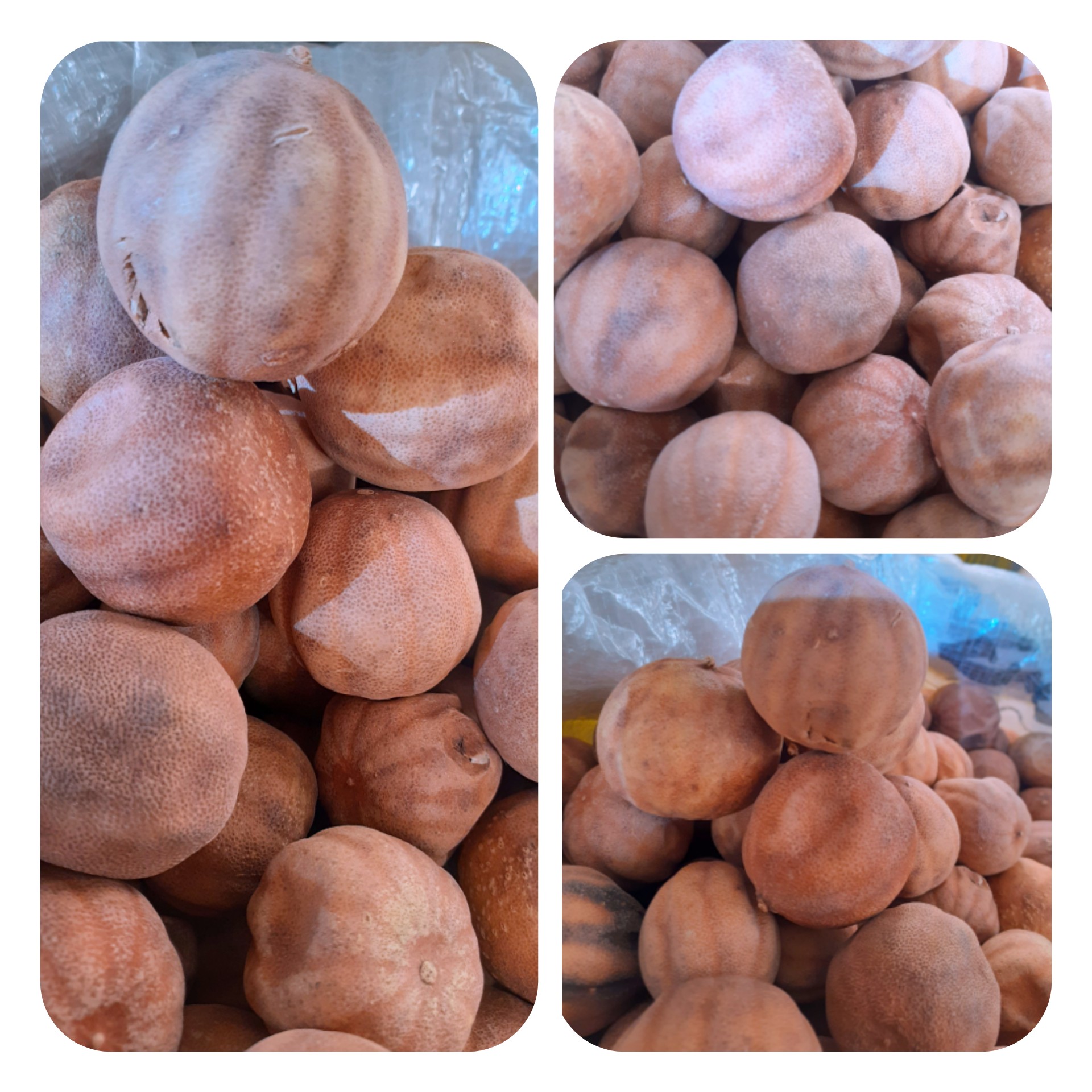 لیمو امانی ( 500 گرمی ) فروشگاه بدیسا