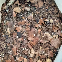 خاک  هوموس ویژه ی گلهای جنگلی ( گل موگه و دانه برفی و... )حجم 2  لیتری