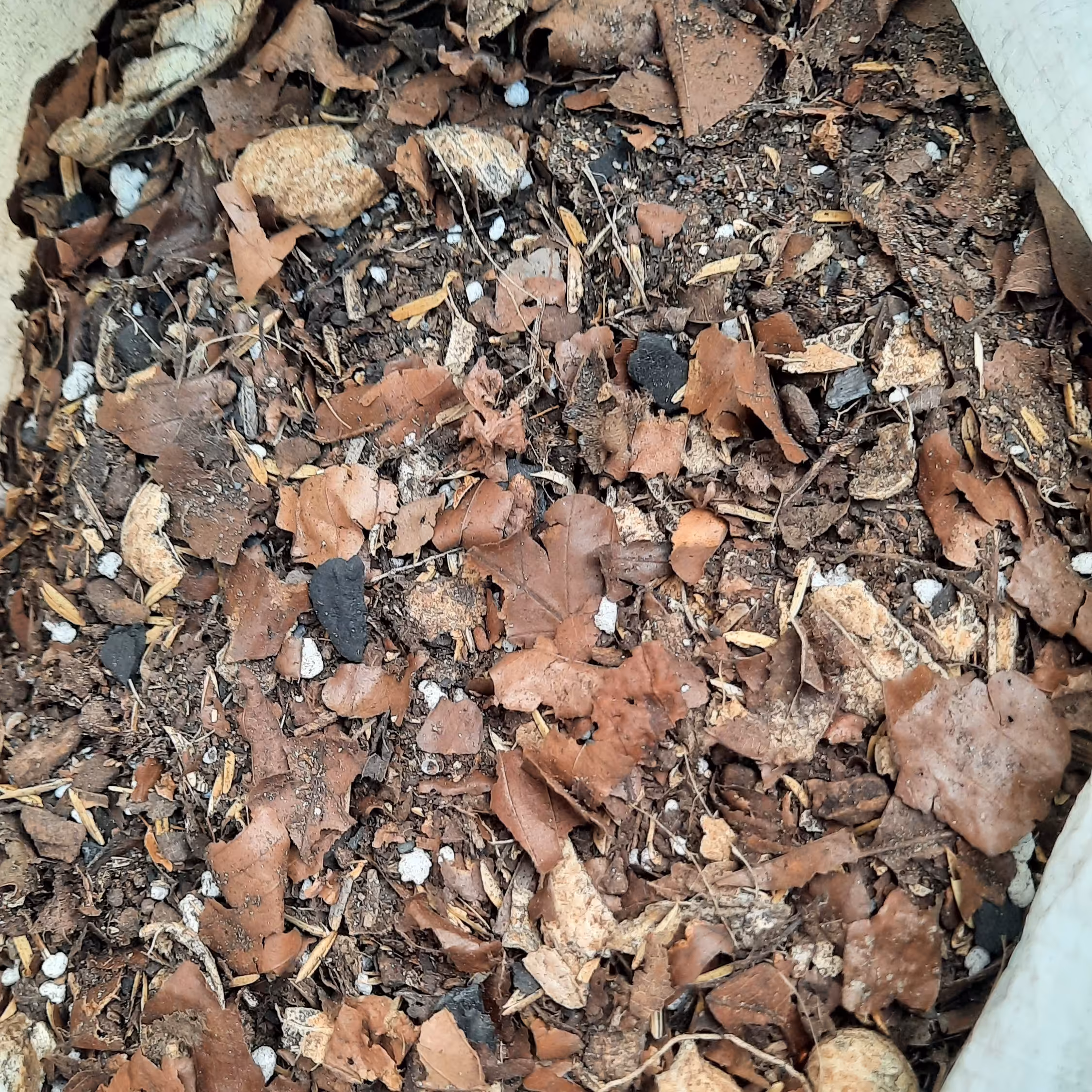 خاک  هوموس ویژه ی گلهای جنگلی ( گل موگه و دانه برفی و... )حجم 2  لیتری