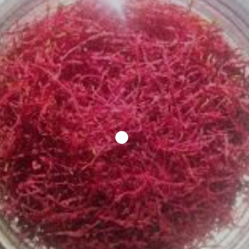 زعفران سرگل 