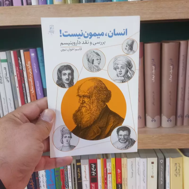 انسان میمون نیست