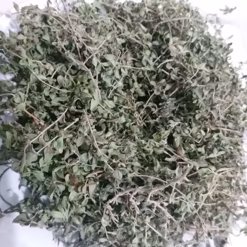 اویشن کوهی(50 گرمی)