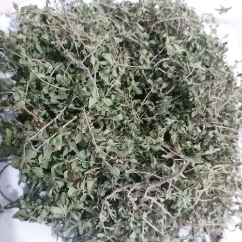 اویشن کوهی(50 گرمی)