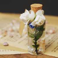 گیفت عقد وعروسی شماره 12(پک ده عددی)