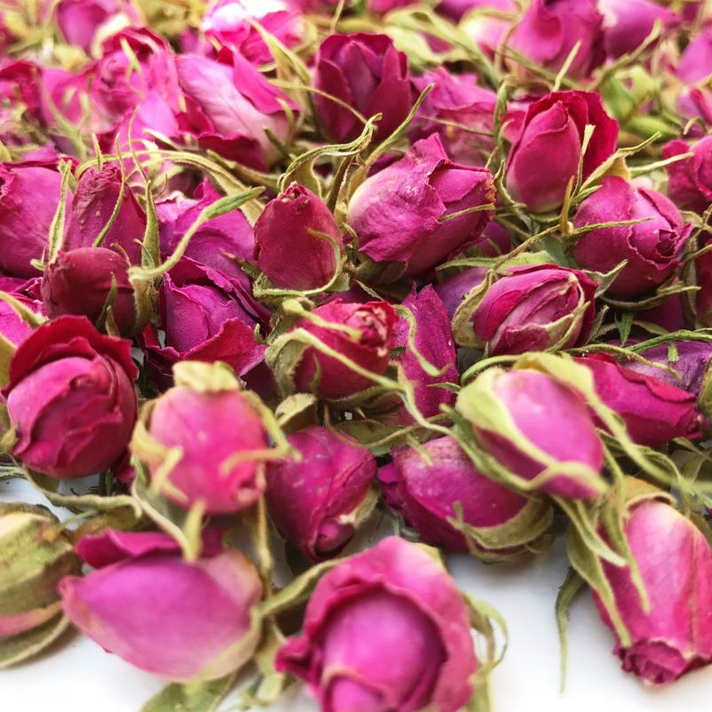 غنچه گل محمدی 