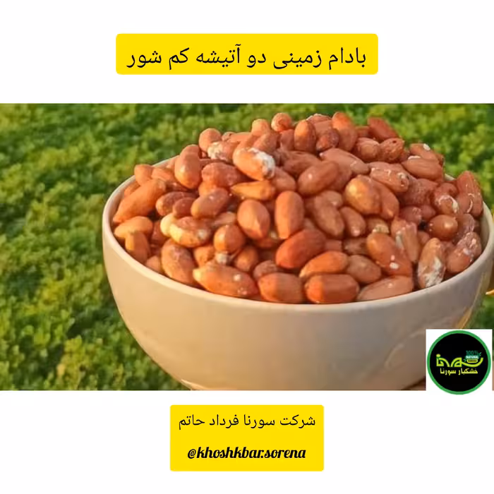 بادام زمینی دو آتیشه کم نمک بو داده درجه یک محلی امساله ایرانی درشت یکدست مجلسی (اردبیل دشت مغان) در بسته بندی 450 گرمی