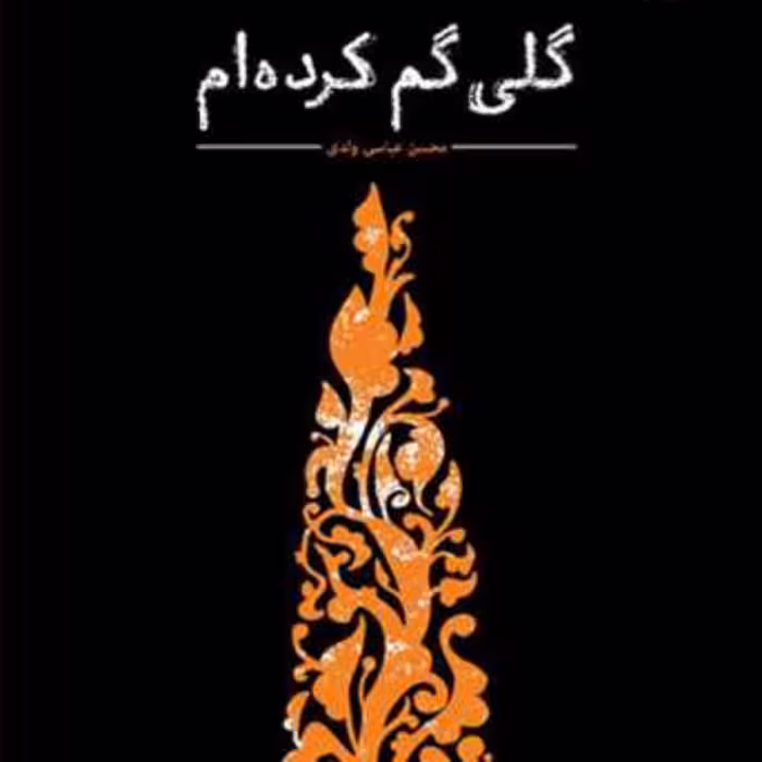 کتاب  گلی گم کرده ام  ناشر انتشارات بوستان کتاب  نویسنده محسن عباسی ولدی