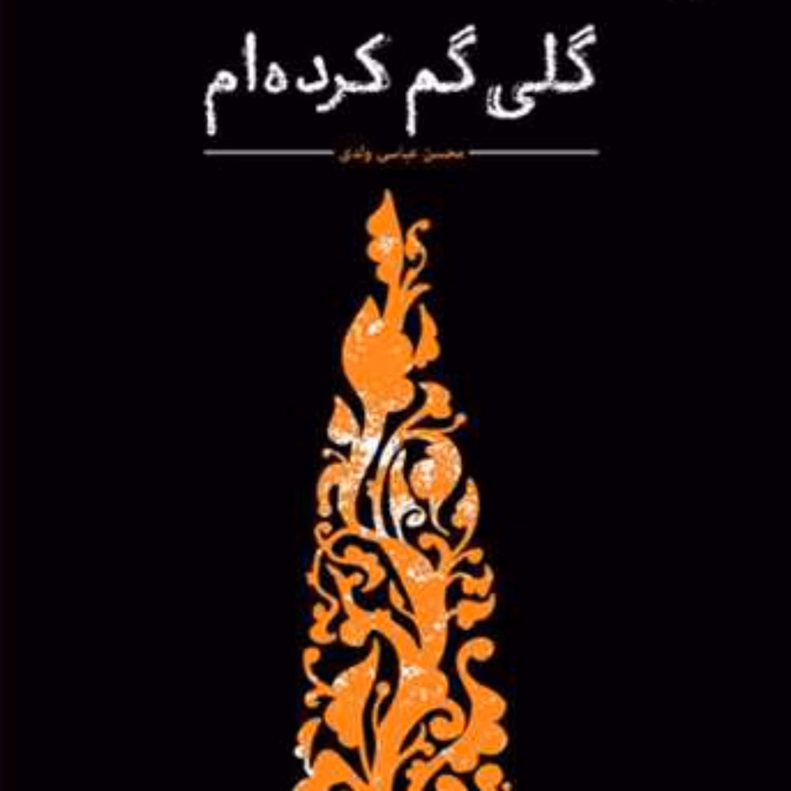 کتاب  گلی گم کرده ام  ناشر انتشارات بوستان کتاب  نویسنده محسن عباسی ولدی