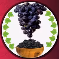 مویز بدون هسته امسالی درجه یک افغان 100 گرمی ‌‌