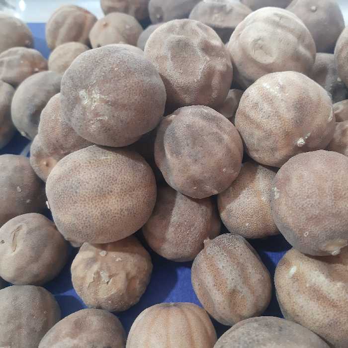 لیمو عمانی بدون تلخی و شکستگی ( یک کیلو گرمی ) 