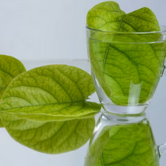 برگ به با کیفیت(عرضه اولیه)