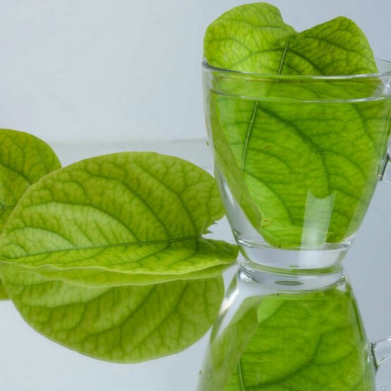 برگ به با کیفیت(عرضه اولیه)