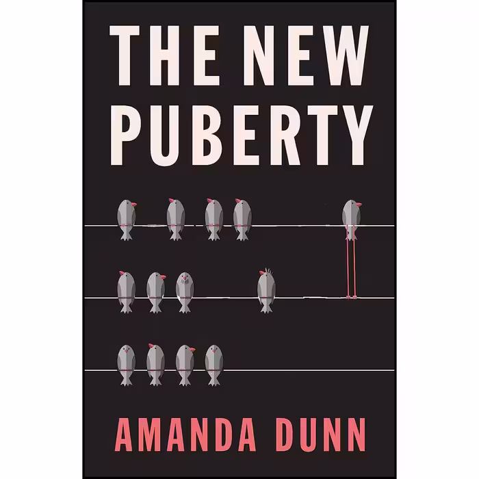 کتاب زبان اصلی The New Puberty اثر Amanda Dunn