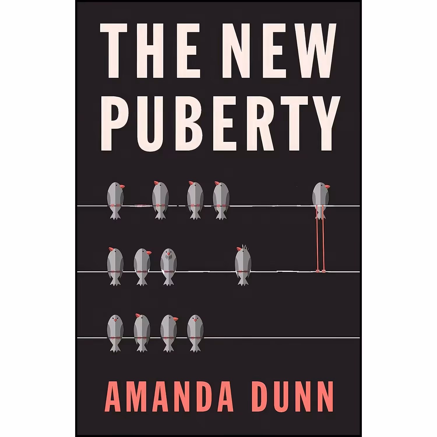 کتاب زبان اصلی The New Puberty اثر Amanda Dunn