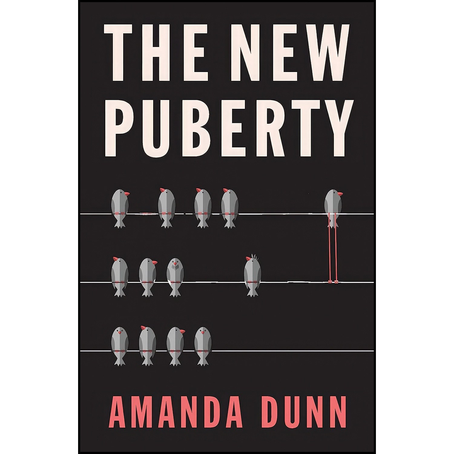 کتاب زبان اصلی The New Puberty اثر Amanda Dunn