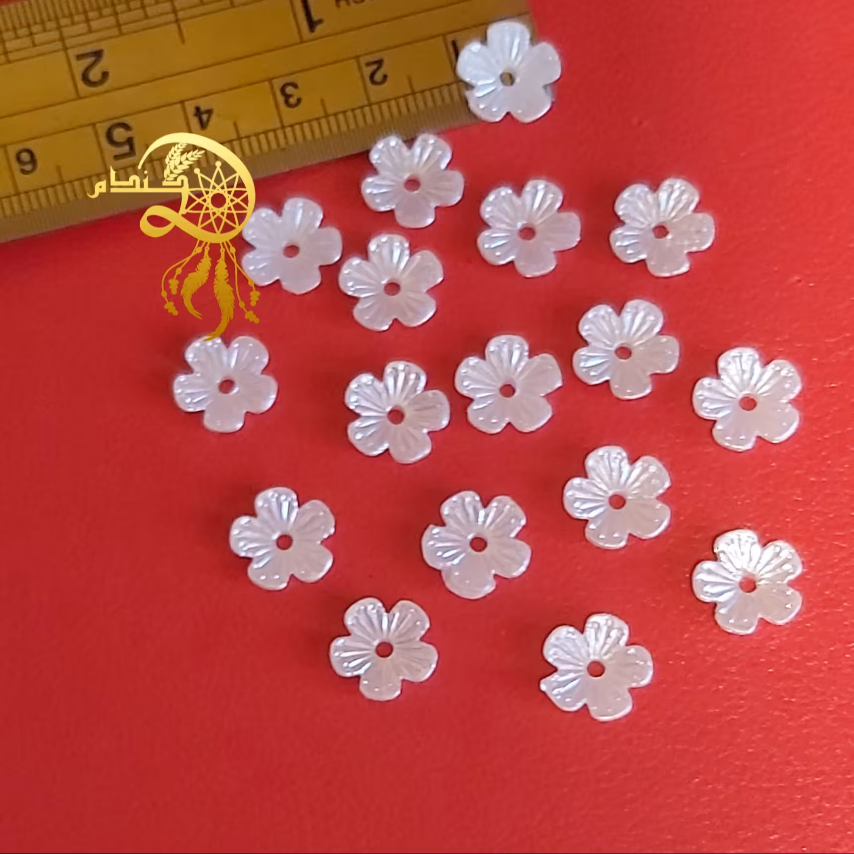 شکوفه یک سانتی پک 20عددی