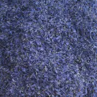 گل گاوزبان طبیعی واصل (500گرمی) عمده وجزئی